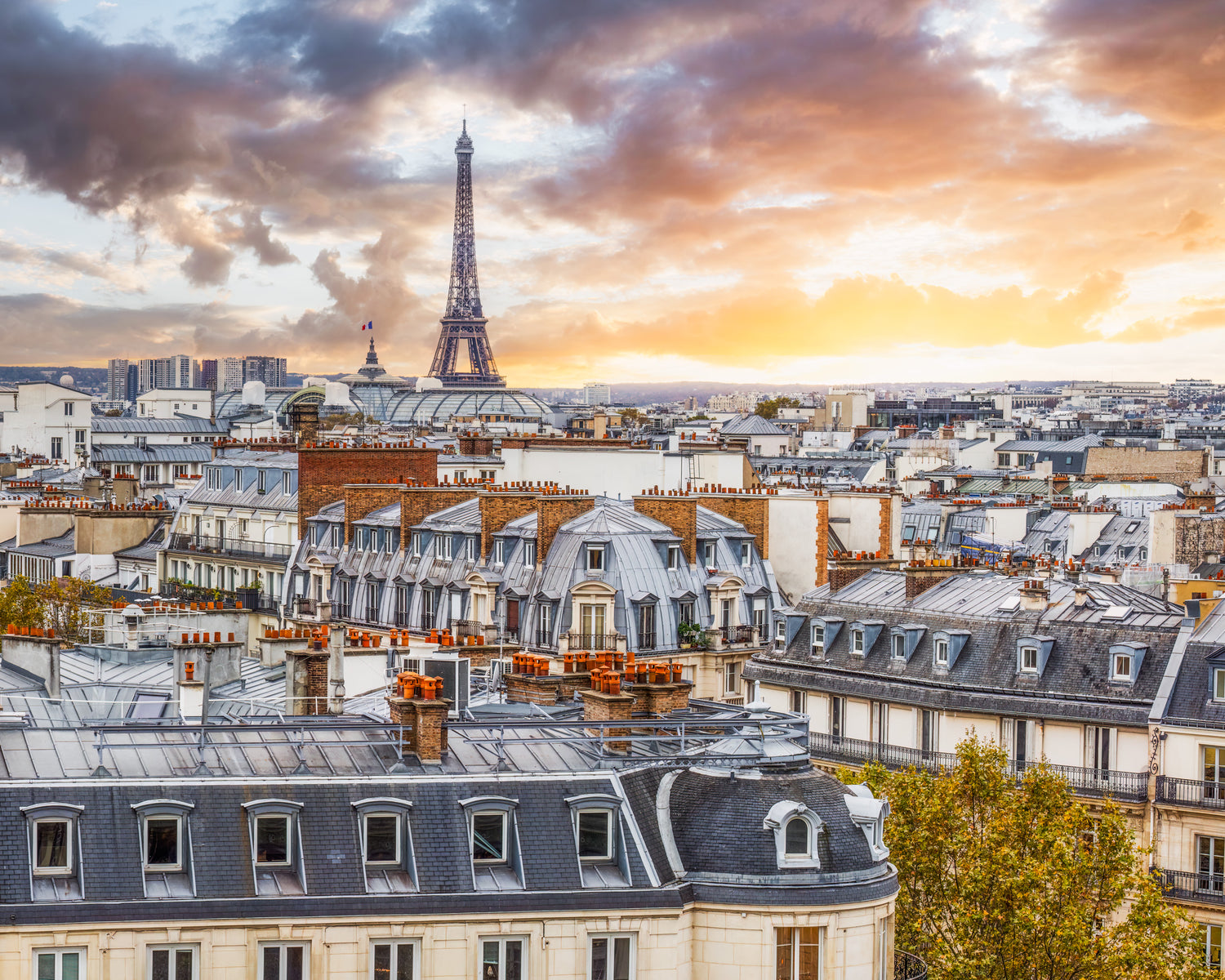 The Best Views of Paris: Top Spots for Photos and Sightseeing