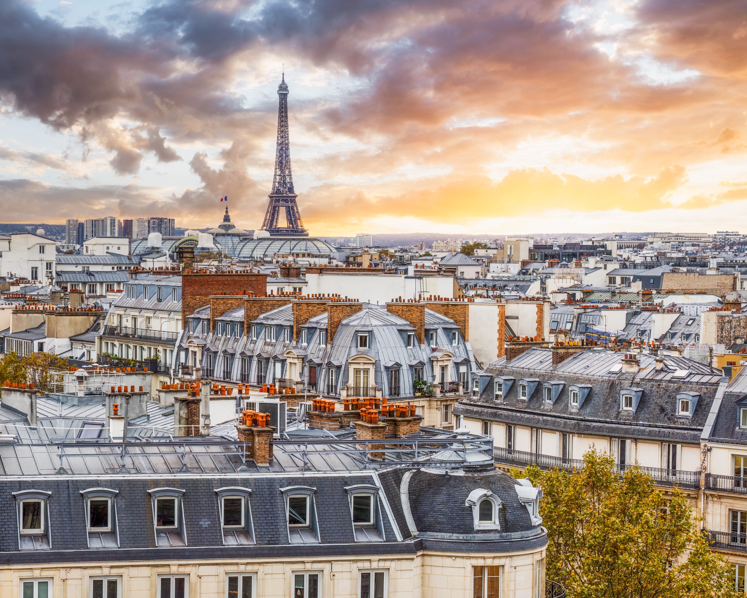 The Best Views of Paris: Top Spots for Photos and Sightseeing