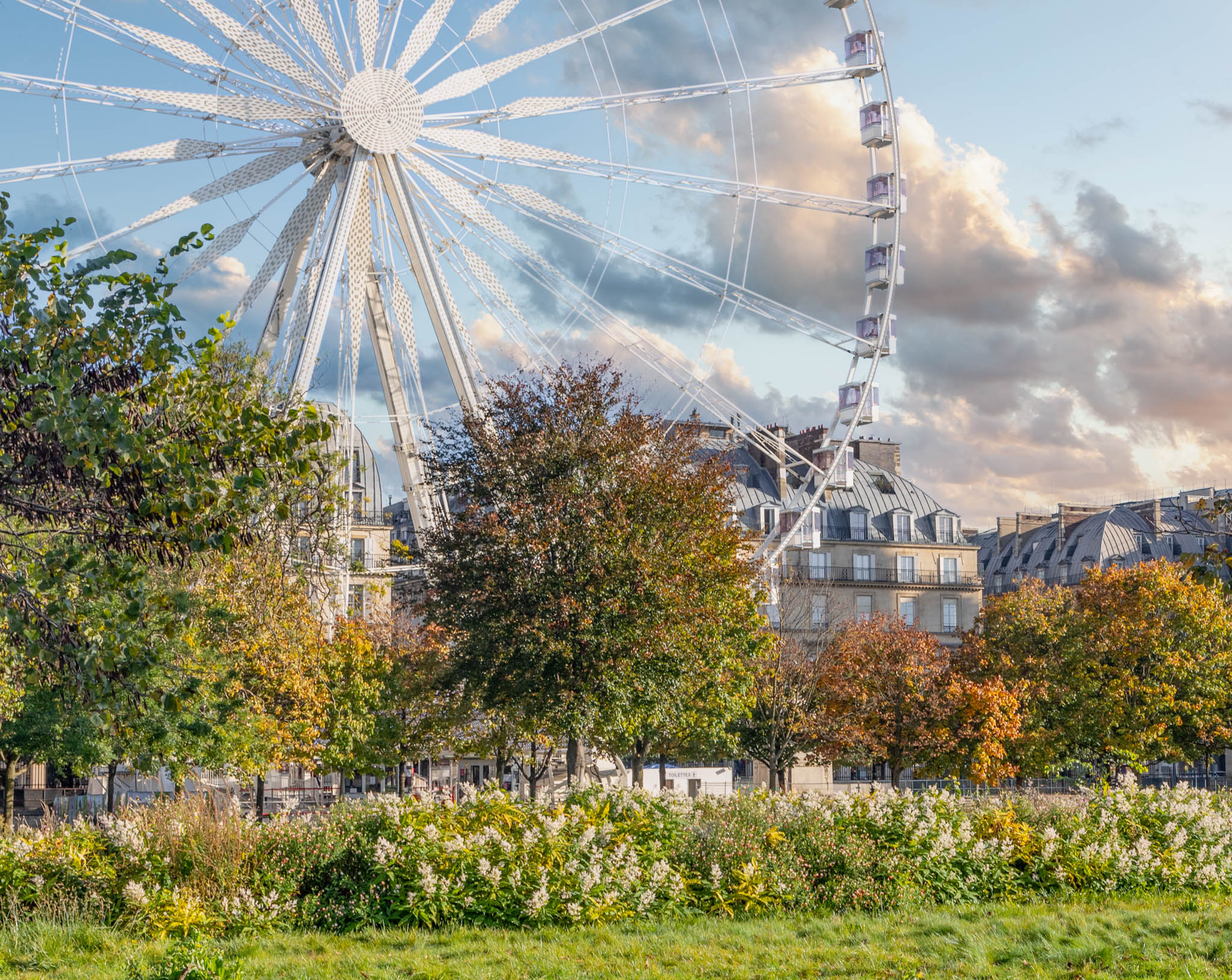 Autumn Afternoon in Tuileries