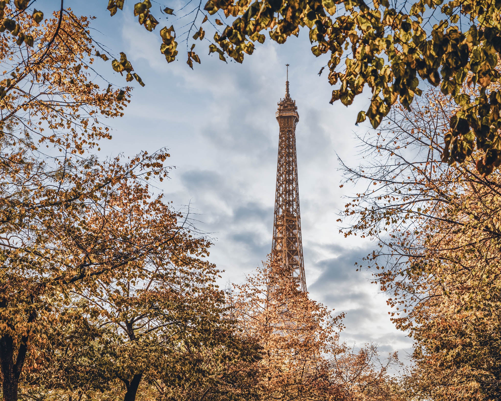 Eiffel Tower Framed by Autumn