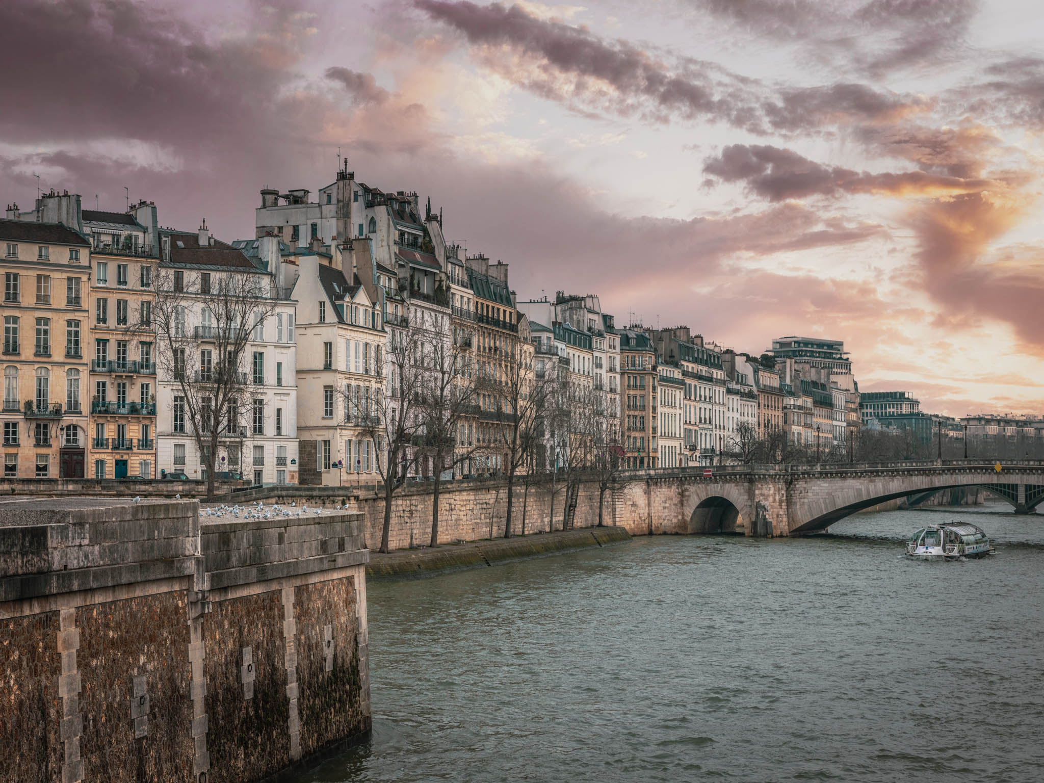 Evening Glow on the Seine