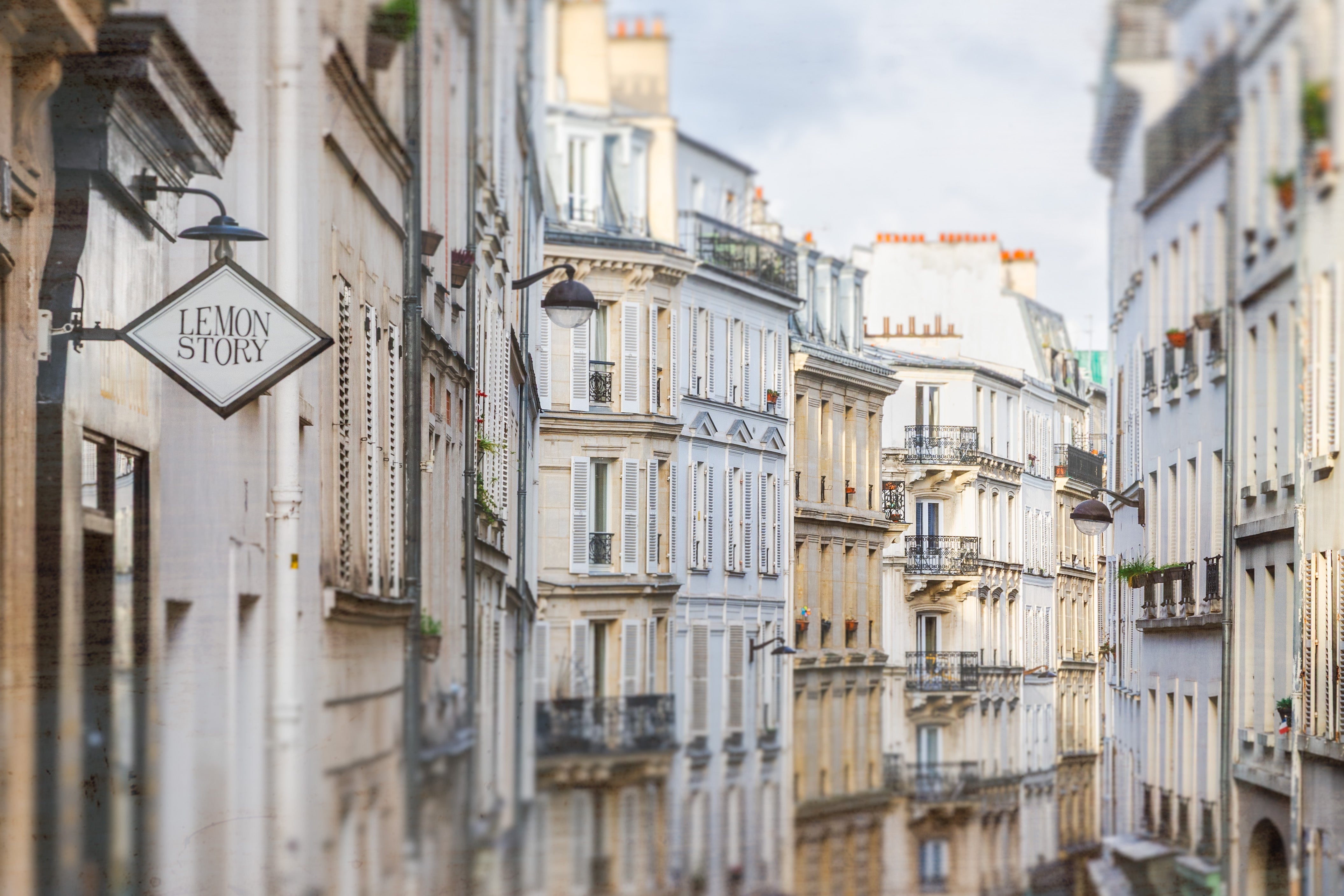 Lemon Story in Montmartre