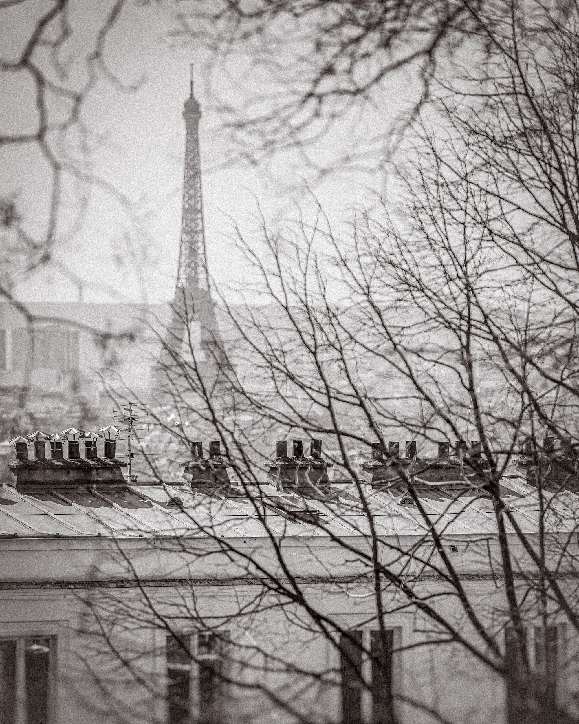 Parisian Nostalgia