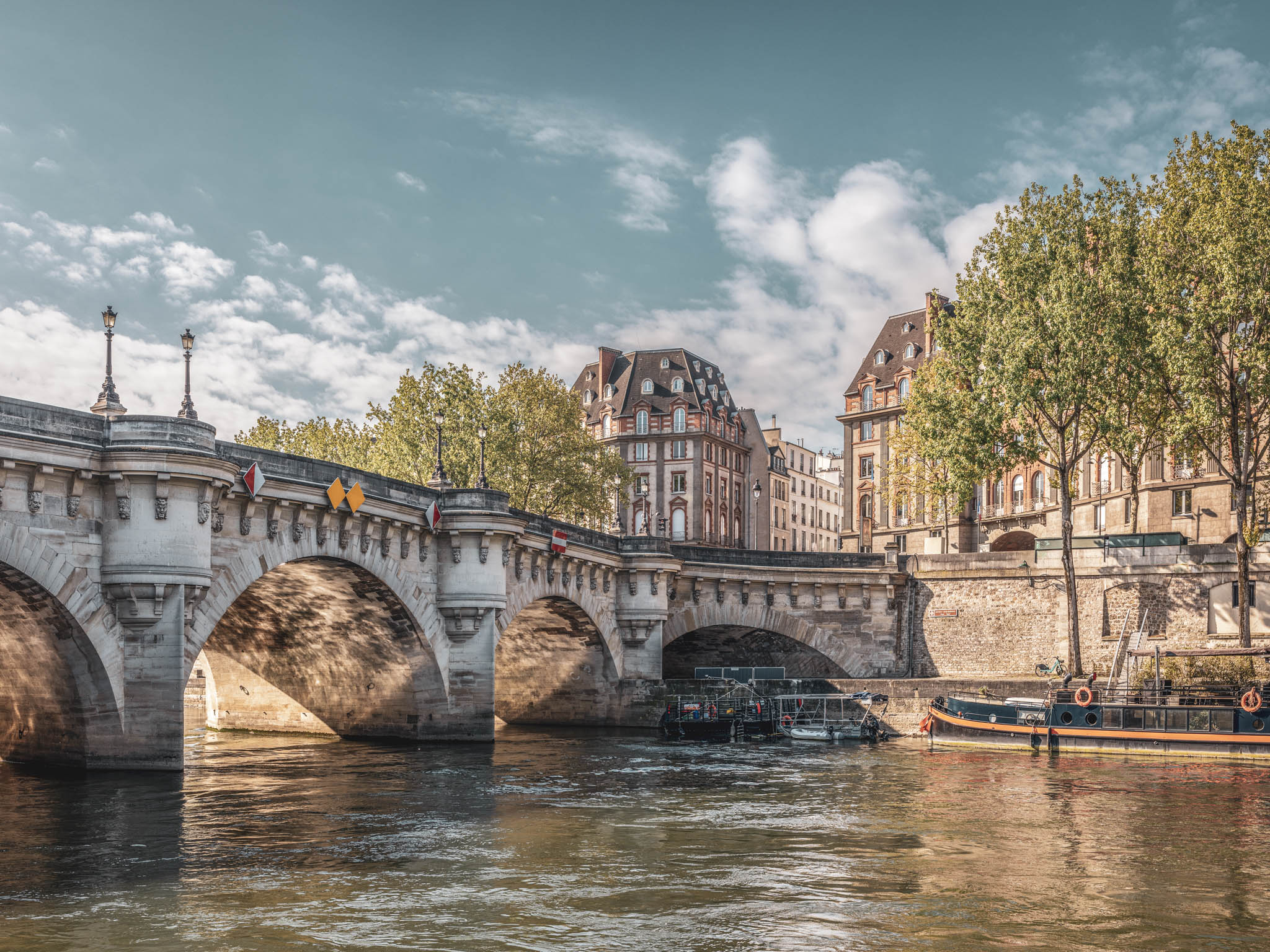 Pont Neuf Perspective